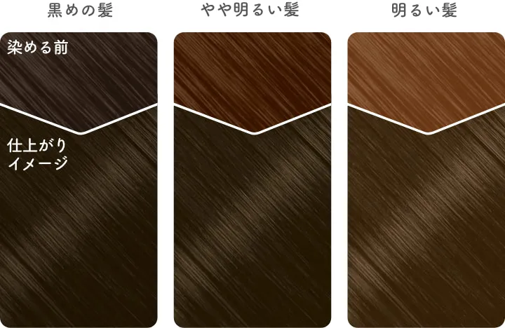 おだやかで悠々とした ビューティラボ ホイップヘアカラー ビターショコラ 仕上がりイメージ画像