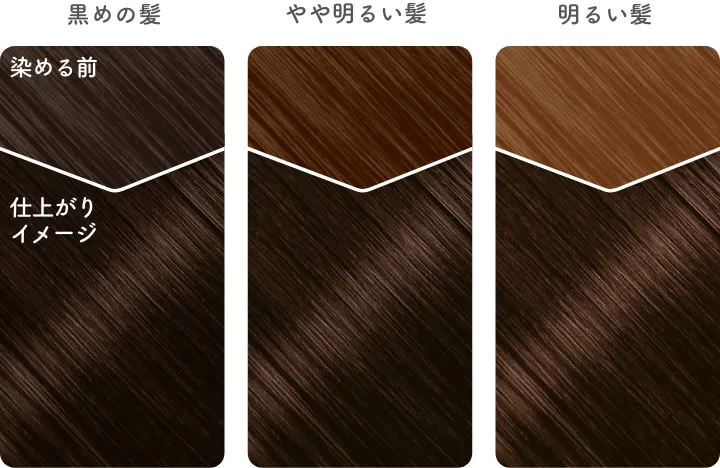 こっくりした深み ビューティラボ ホイップヘアカラー アンティークショコラ 仕上がりイメージ画像