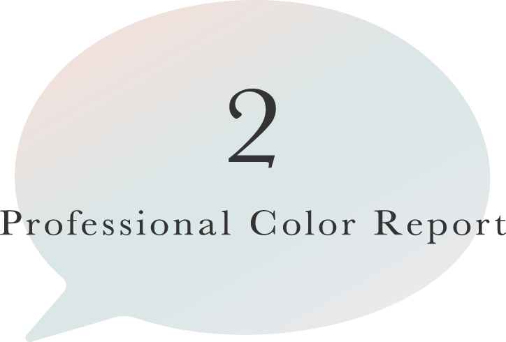 Professional Color Report 2